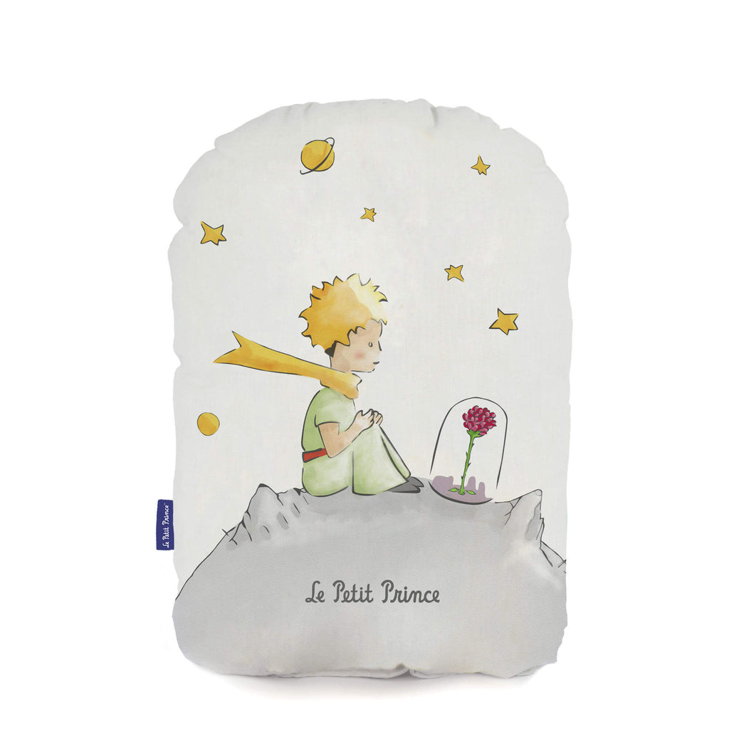 UNIVERS COJIN 40x30